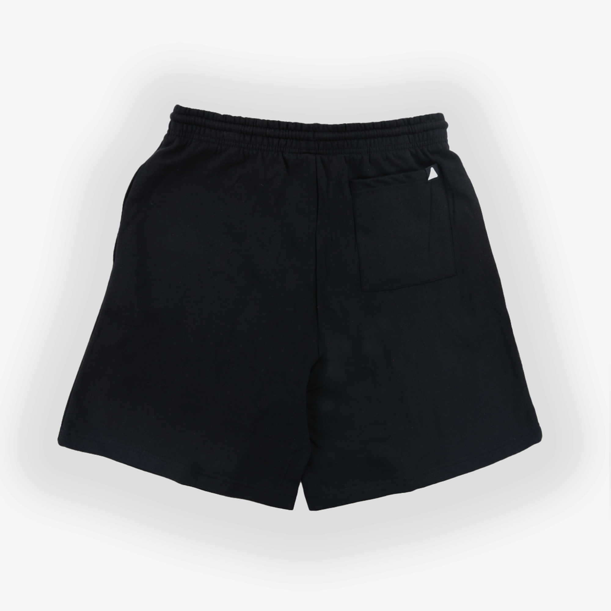 VICTORY - MENS SHORTS product photo
