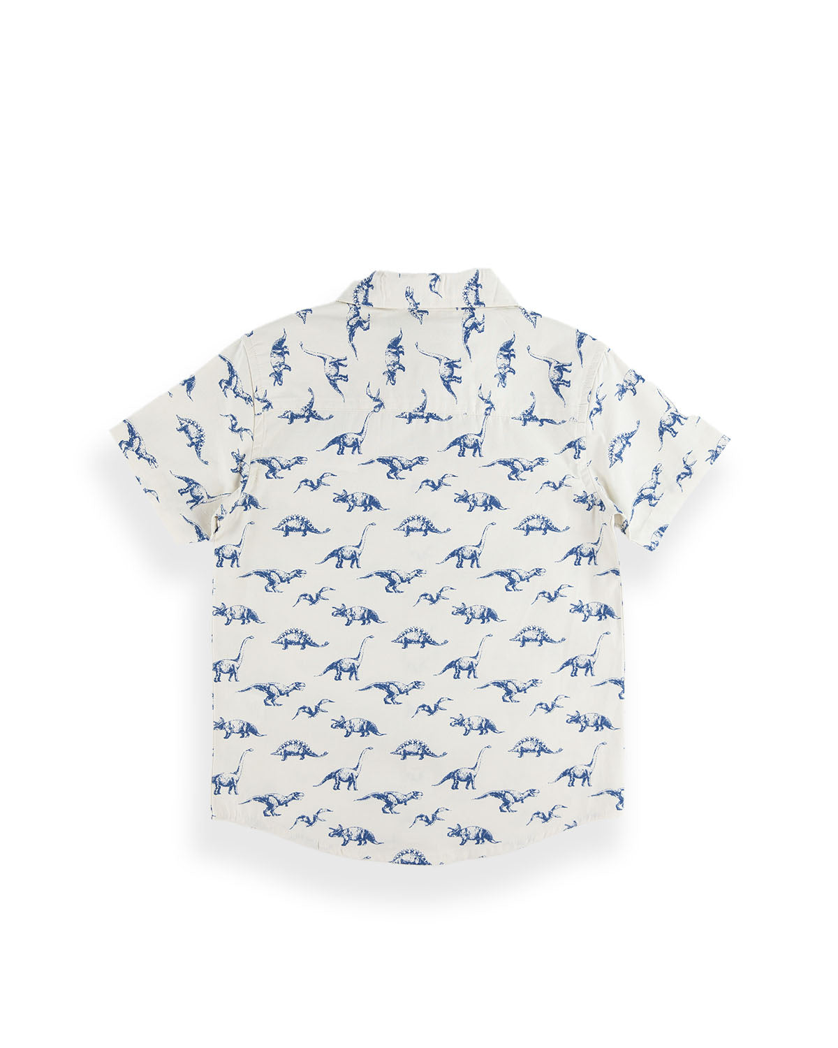 LEGACY product photo