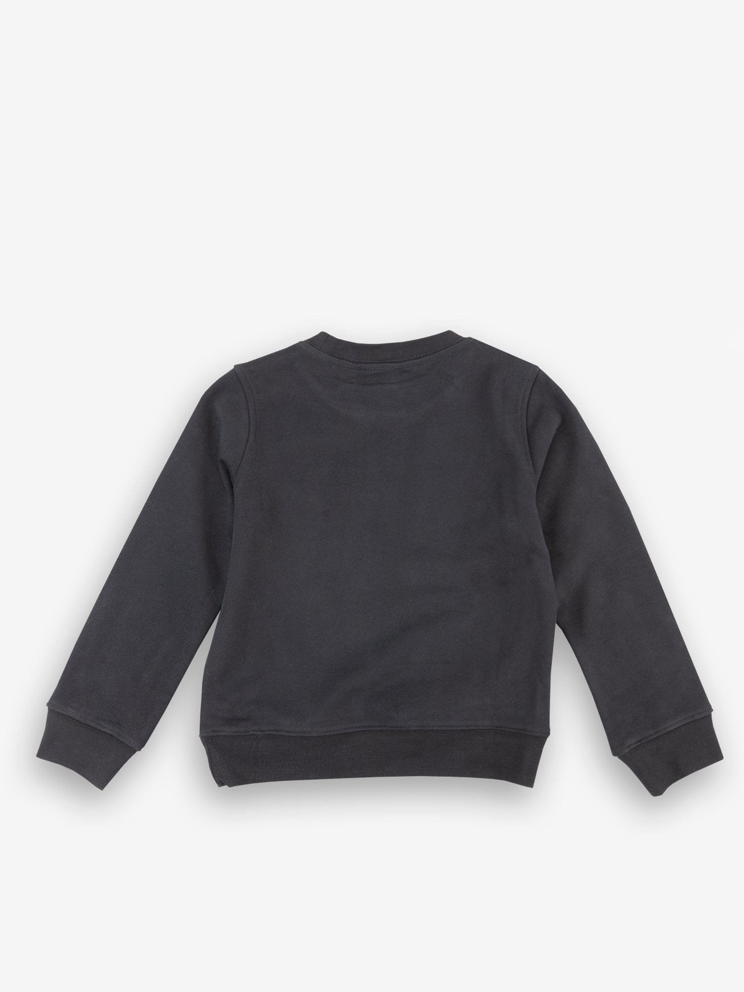 INSTITUTE CREWNECK product photo