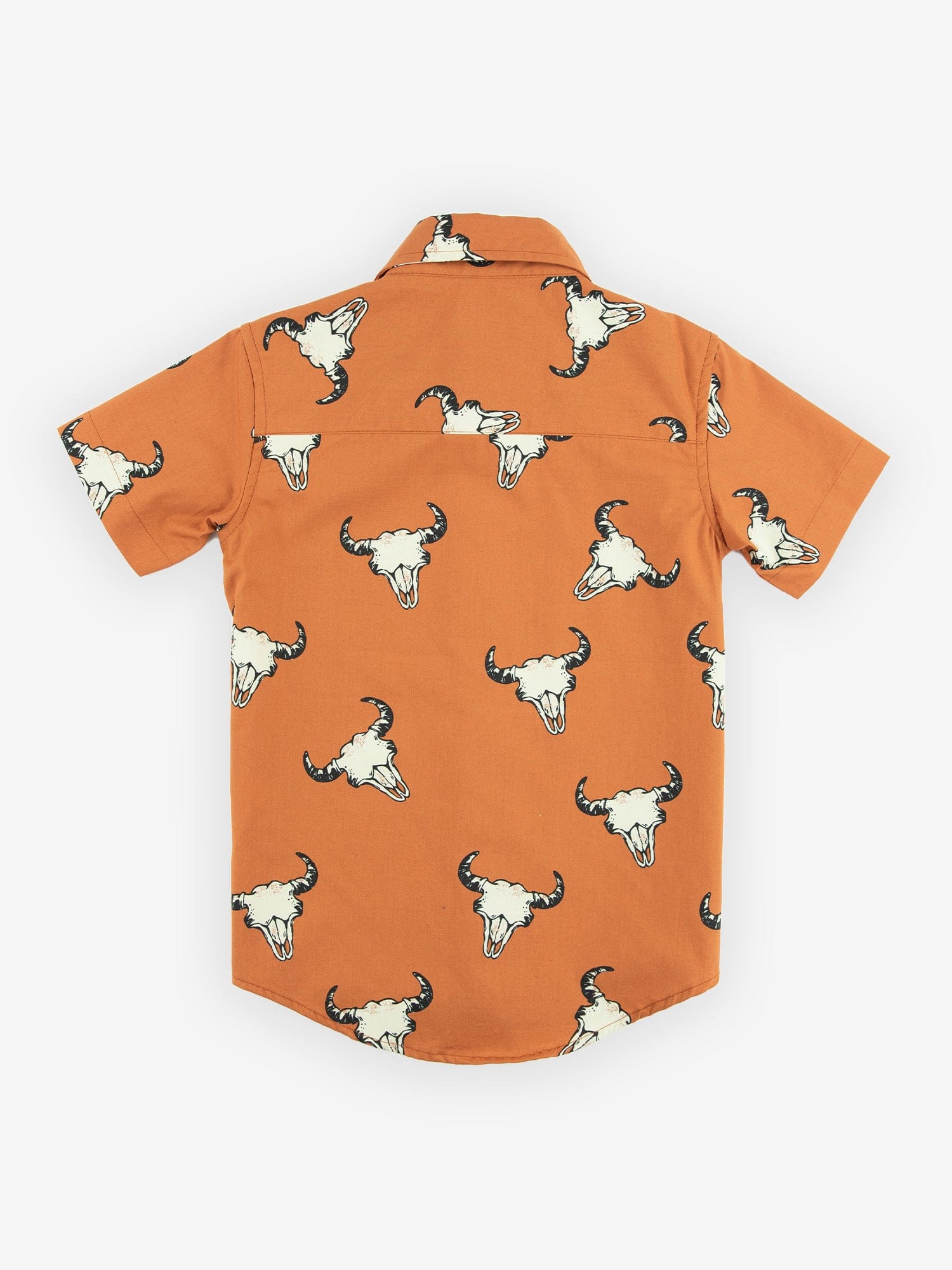 Frenzy Shirt product photo